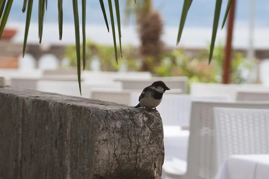 Villa Pioppi Hotel Sirmione 2*,